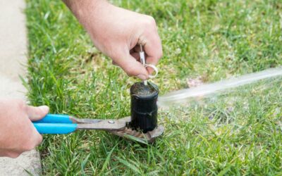 Unveiling the Issues: The Pitfalls of Poorly Adjusted Sprinkler Heads